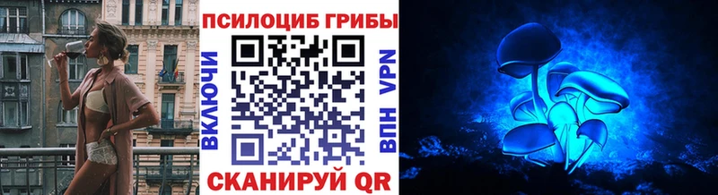 Купить где  Арсеньев  Псилоцибиновые грибы GOLDEN TEACHER 